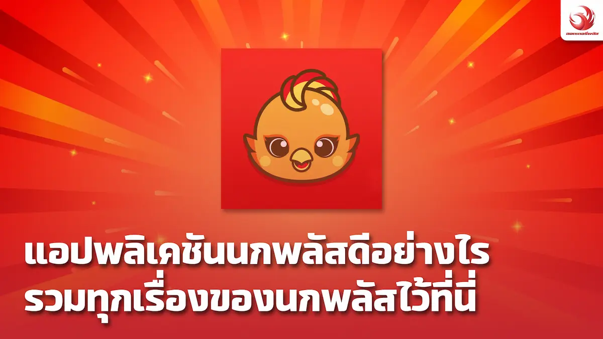 seo70นอน